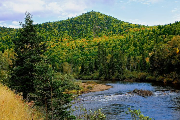 fall, Mountain, River, Forest, Trees, Landscape, Autumn HD Wallpaper Desktop Background