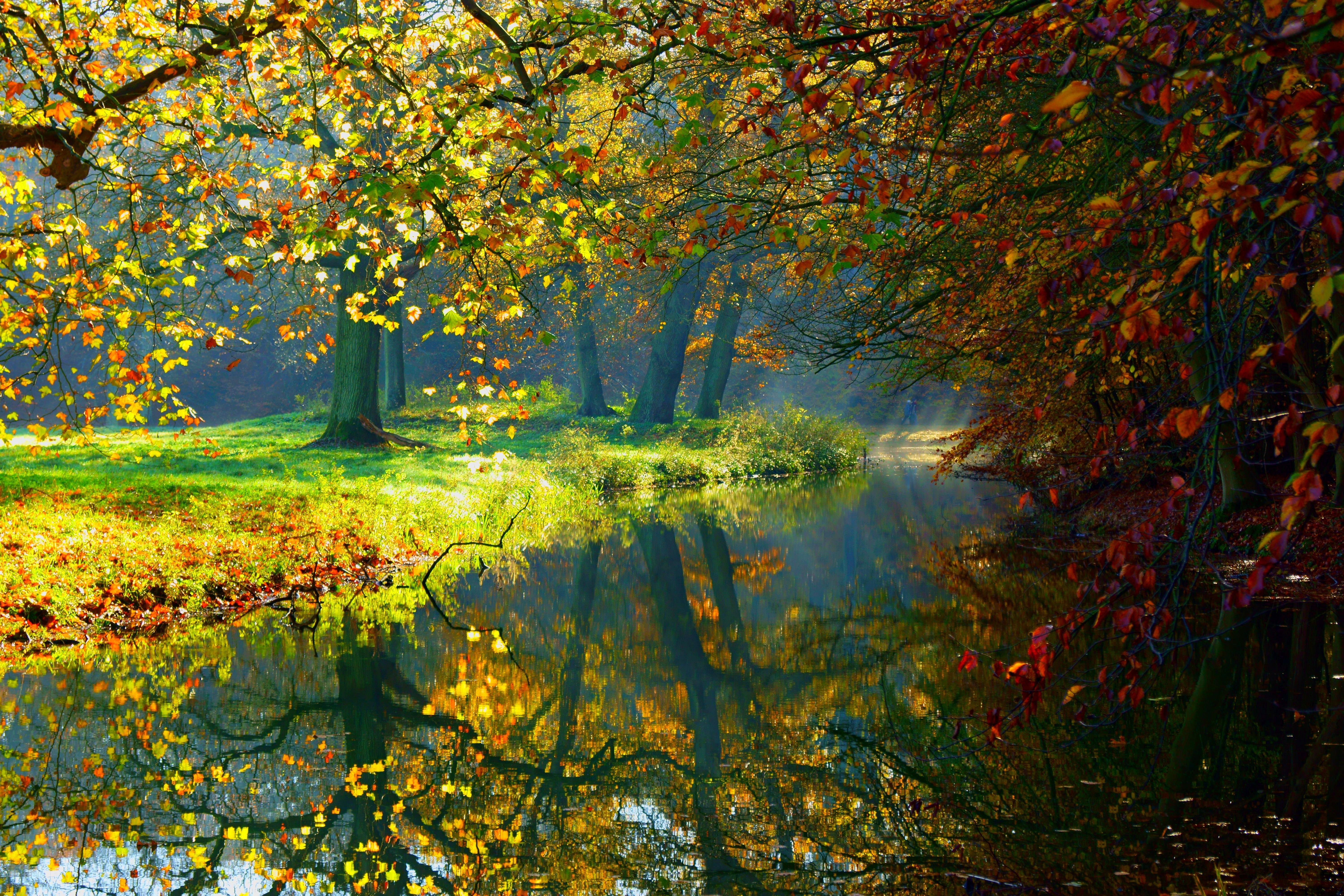 landscape, Nature, Autumn, Forest, Trees, River, Reflection Wallpaper