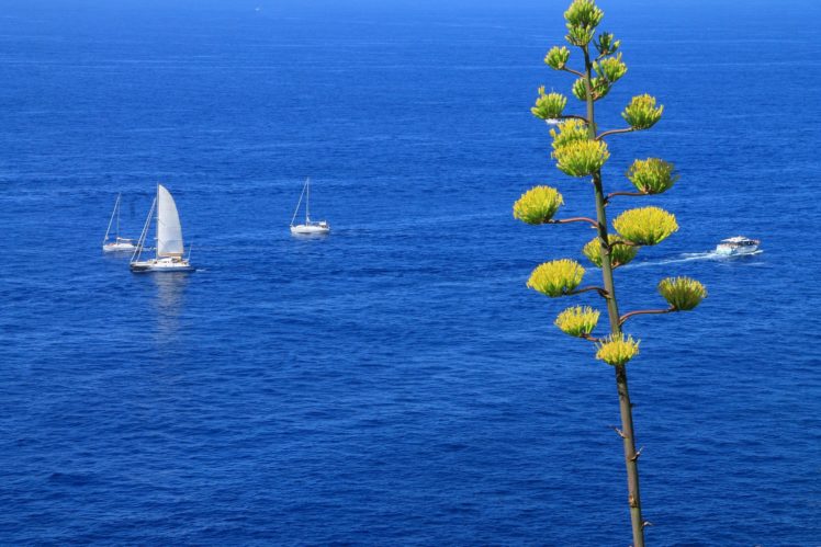 sea, Ships, Sailboats, Trees, Landscape HD Wallpaper Desktop Background