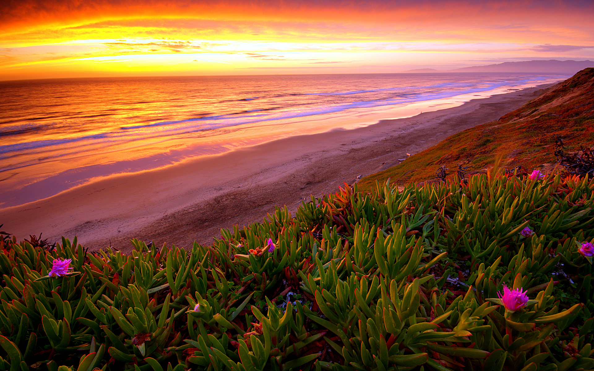 beach, Ocean, Sunset, Plant, Flowers, Shore, Coast, Sea, Waves, Sky, Clouds, Landscapes, Hills