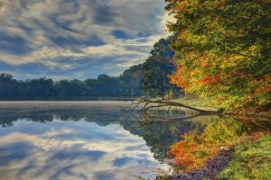 park, Nature, Water, River, Sky, Leaves, Trees, Clouds, Forest, Autumn, Reflectiom