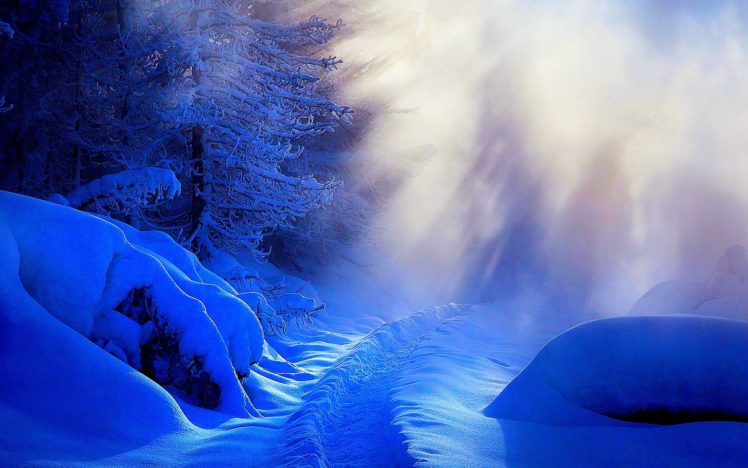snow, Road, Nature, Winter, Trees HD Wallpaper Desktop Background