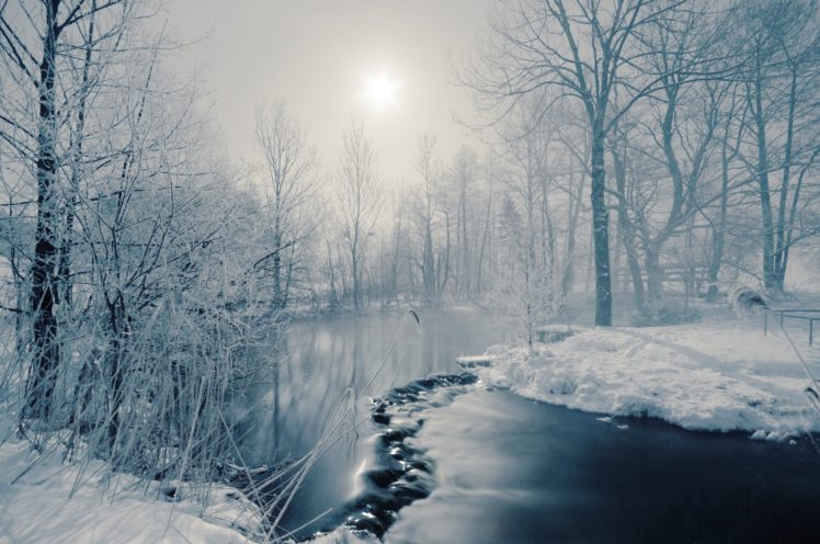 trees, Sun, River, Winter, Fog, Snow, Sunrise HD Wallpaper Desktop Background