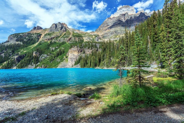 yoho, National, Park, British, Columbia, Lake, Mountains, Trees HD Wallpaper Desktop Background