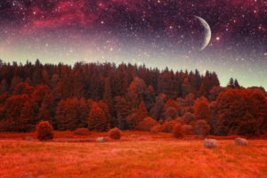 earth,  , Forest, Red, Stars, Sky, Moon