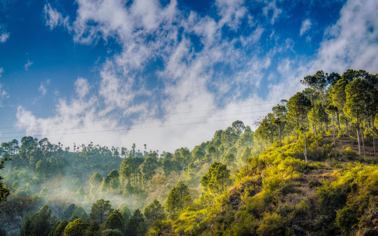 trees, Forest, Sunrise, Hills, Fog, Mist, Haze, Sky, Clouds HD Wallpaper Desktop Background