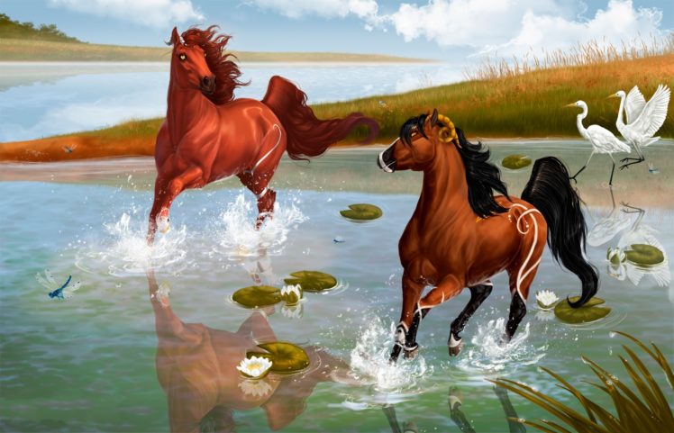 spirit, Stallion, Of, The, Cimarron, Cartoons, Fantasy, Horses, Birds, Lakes, Reflection HD Wallpaper Desktop Background