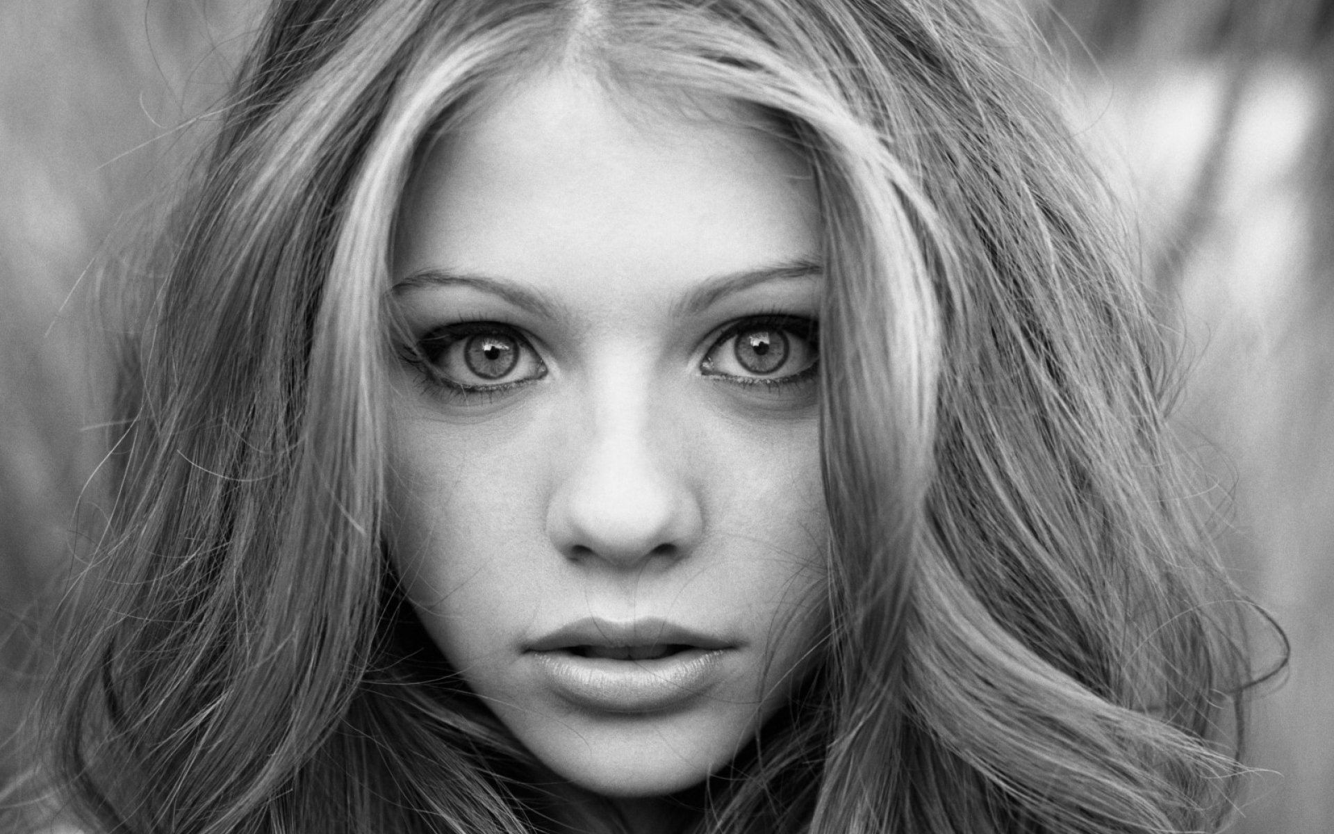 michelle, Trachtenberg, Actress, Woman, Beauty, Beautiful, Model, Girl, Brunette Wallpaper
