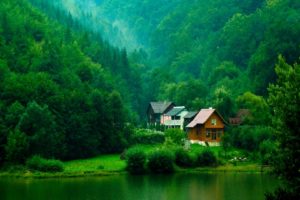 living, With, Nature, Forest, Houses, Green