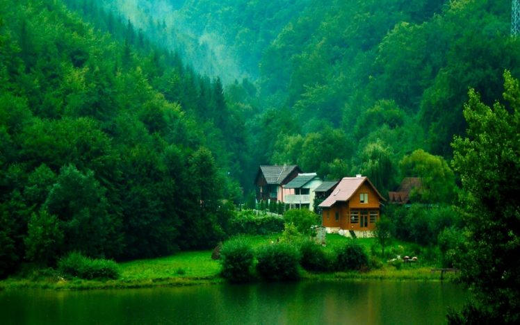 living, With, Nature, Forest, Houses, Green Wallpapers HD / Desktop and  Mobile Backgrounds