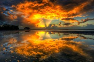 earth,  , Reflection, Sunset, Sunlight, Trees, Forest, Clouds