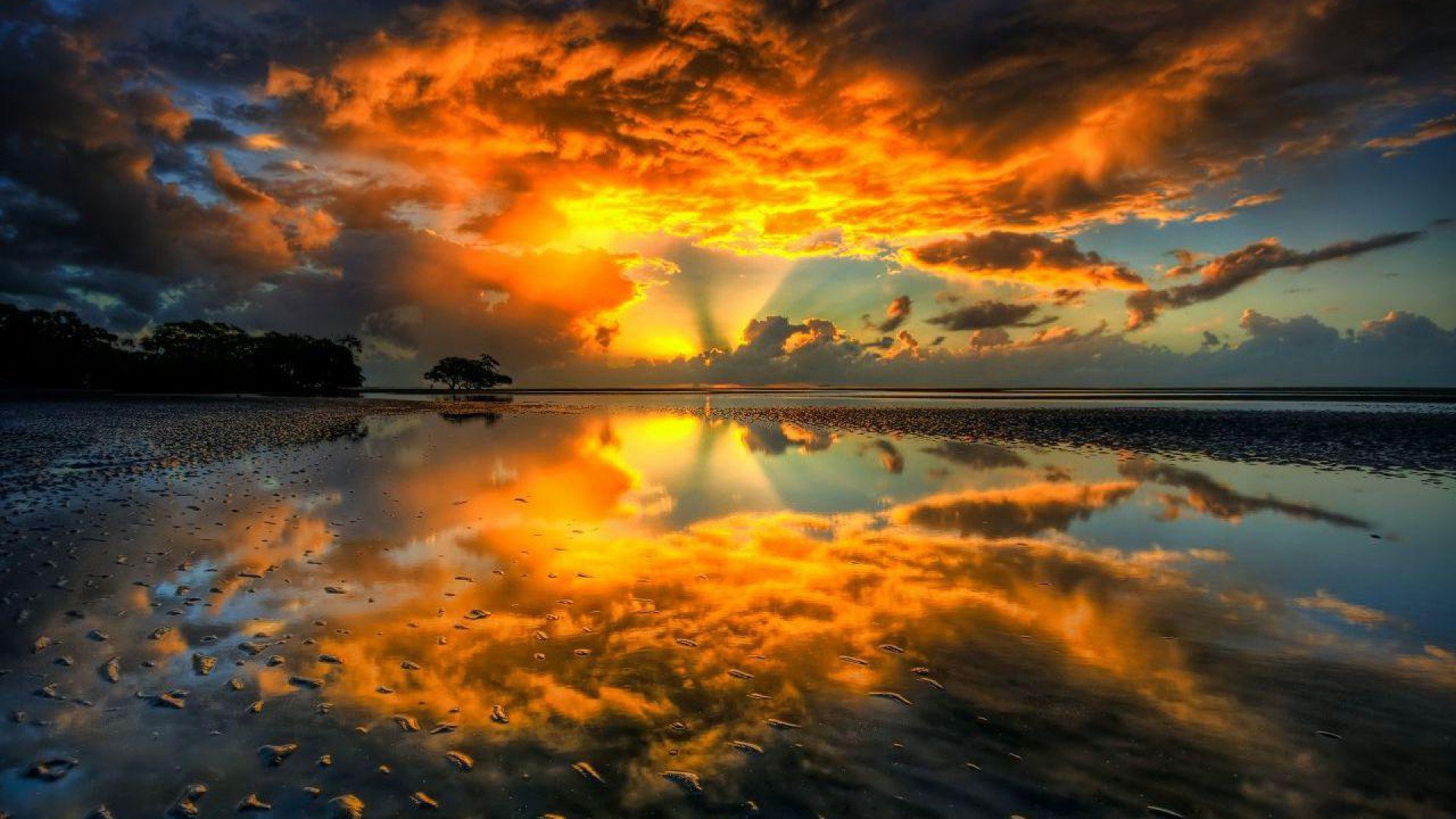 earth,  , Reflection, Sunset, Sunlight, Trees, Forest, Clouds Wallpaper