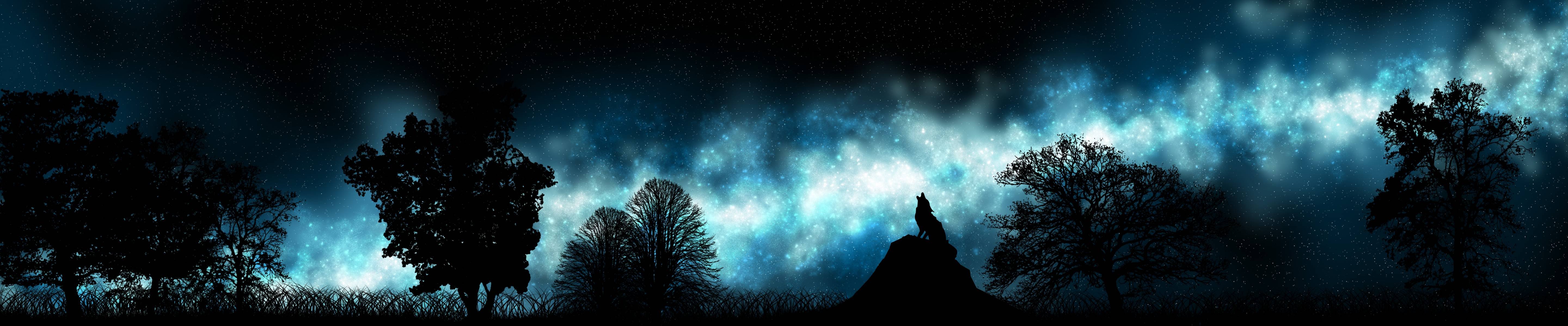 triple, Monitor, Multi, Screen, Multiple, Loup, Wolf, Stars, Etoiles Wallpaper