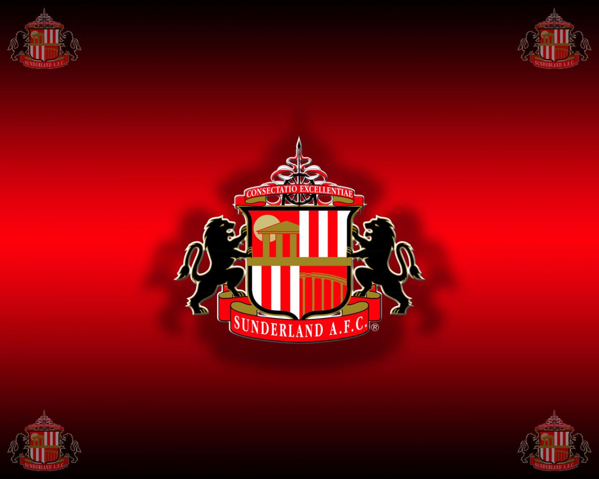sunderland, Premier, Soccer Wallpaper