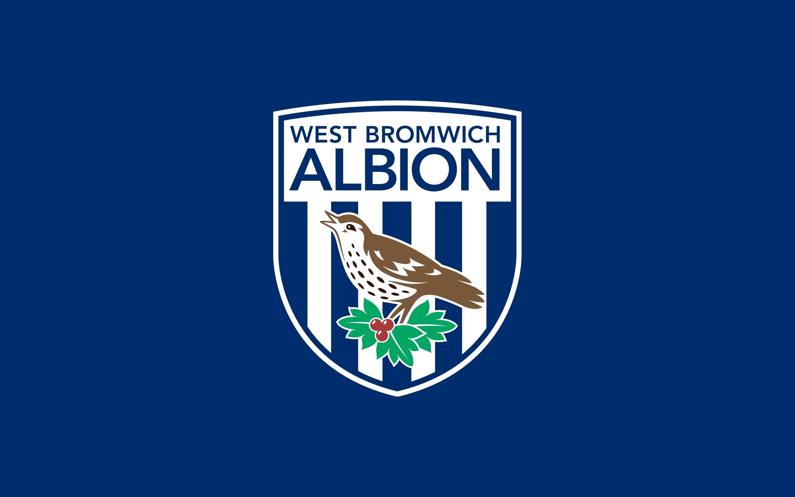 west, Bromwich, Albion, Premier, Soccer Wallpaper