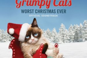christmas, Holiday, Grumpy, Cat, Sadic