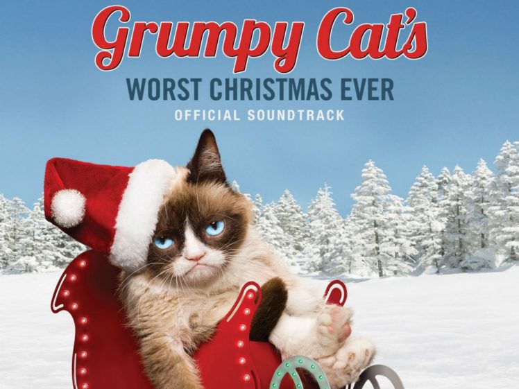 christmas, Holiday, Grumpy, Cat, Sadic HD Wallpaper Desktop Background
