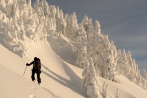skiing, Winter, Snow, Ski, Mountains