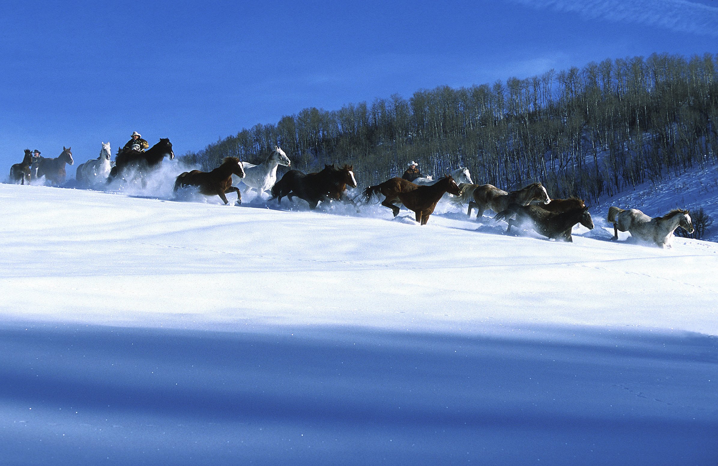 ski, Lift, Skiing, Snowboarding, Winter, Snow, Mountains Wallpaper