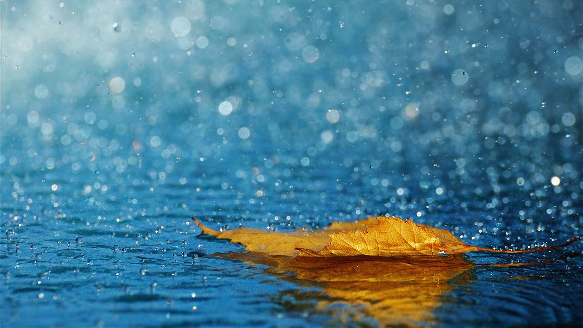 539166 Wallpaper