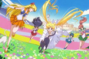 sailor, Moon, Crystal, Group, Friend, Senshi, Flower, Cat, Anime, Series