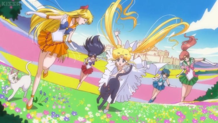 sailor, Moon, Crystal, Group, Friend, Senshi, Flower, Cat, Anime, Series HD Wallpaper Desktop Background