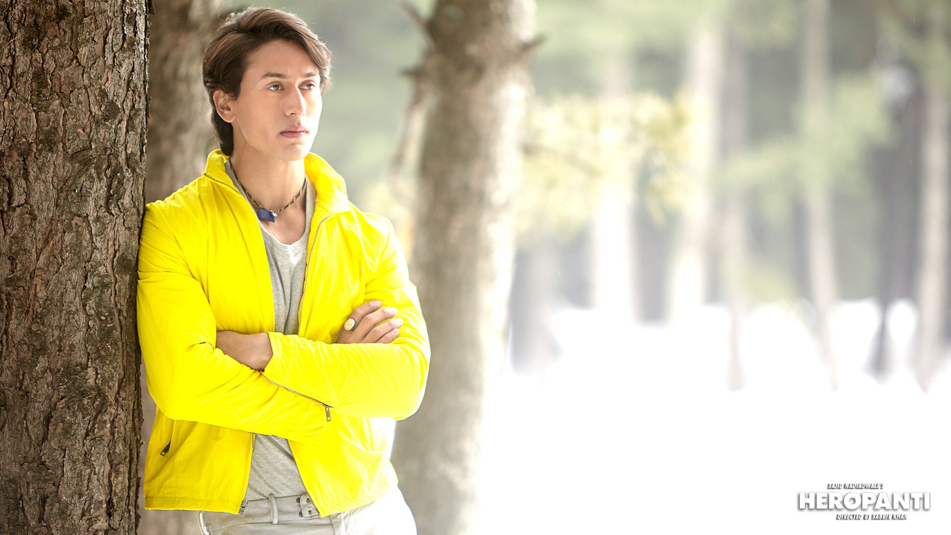 heropanti, Bollywood, Romance, Action Wallpaper