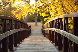bridge, Autumn, Trees, Sunlight