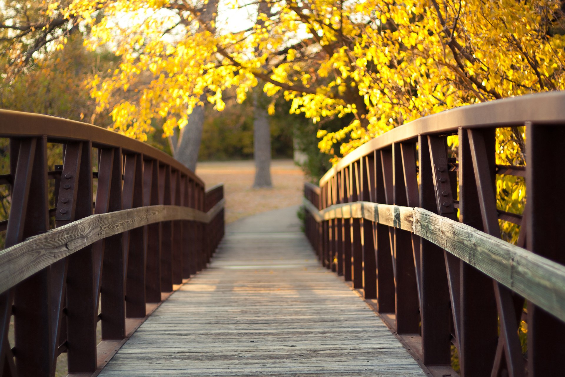 bridge, Autumn, Trees, Sunlight Wallpaper