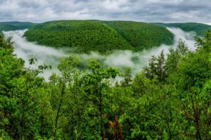 grand, Canyon, Of, Pennsylvania, Pine, Creek, Gorge, Forest, Fog, River, Green