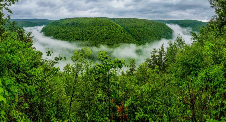 grand, Canyon, Of, Pennsylvania, Pine, Creek, Gorge, Forest, Fog, River, Green HD Wallpaper Desktop Background