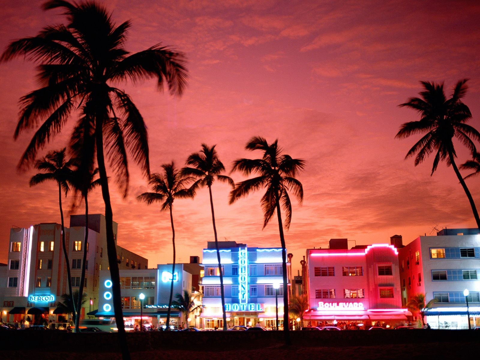 trees, Cityscapes, Lights, Urban, Miami Wallpaper