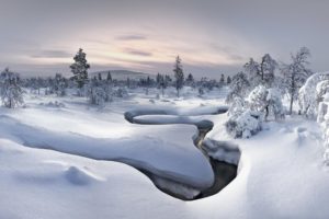 winter, Snow, Forest, Nature, River