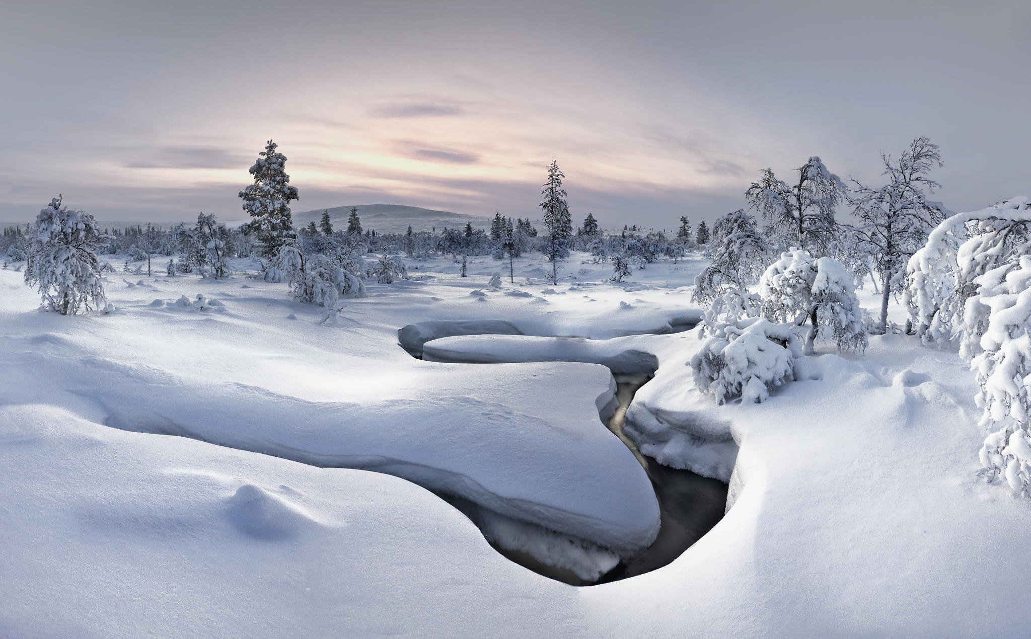 winter, Snow, Forest, Nature, River Wallpaper