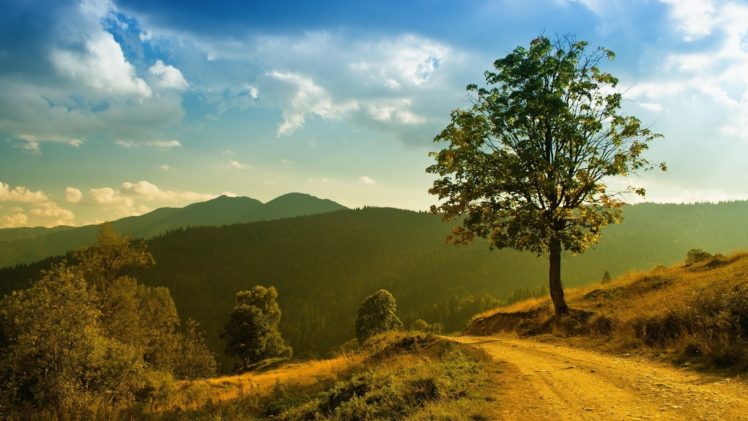 landscapes, Nature, Trees, Roads HD Wallpaper Desktop Background