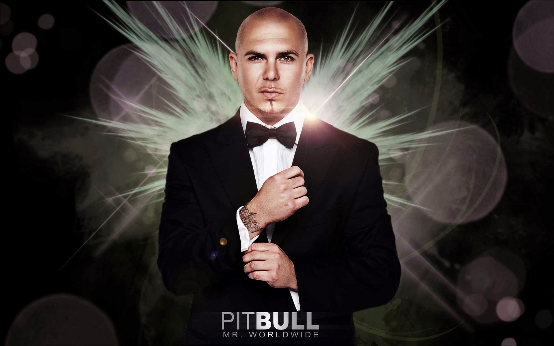 pitbull, Hip, Hop, Rap, Rapper, House, Pop Wallpaper