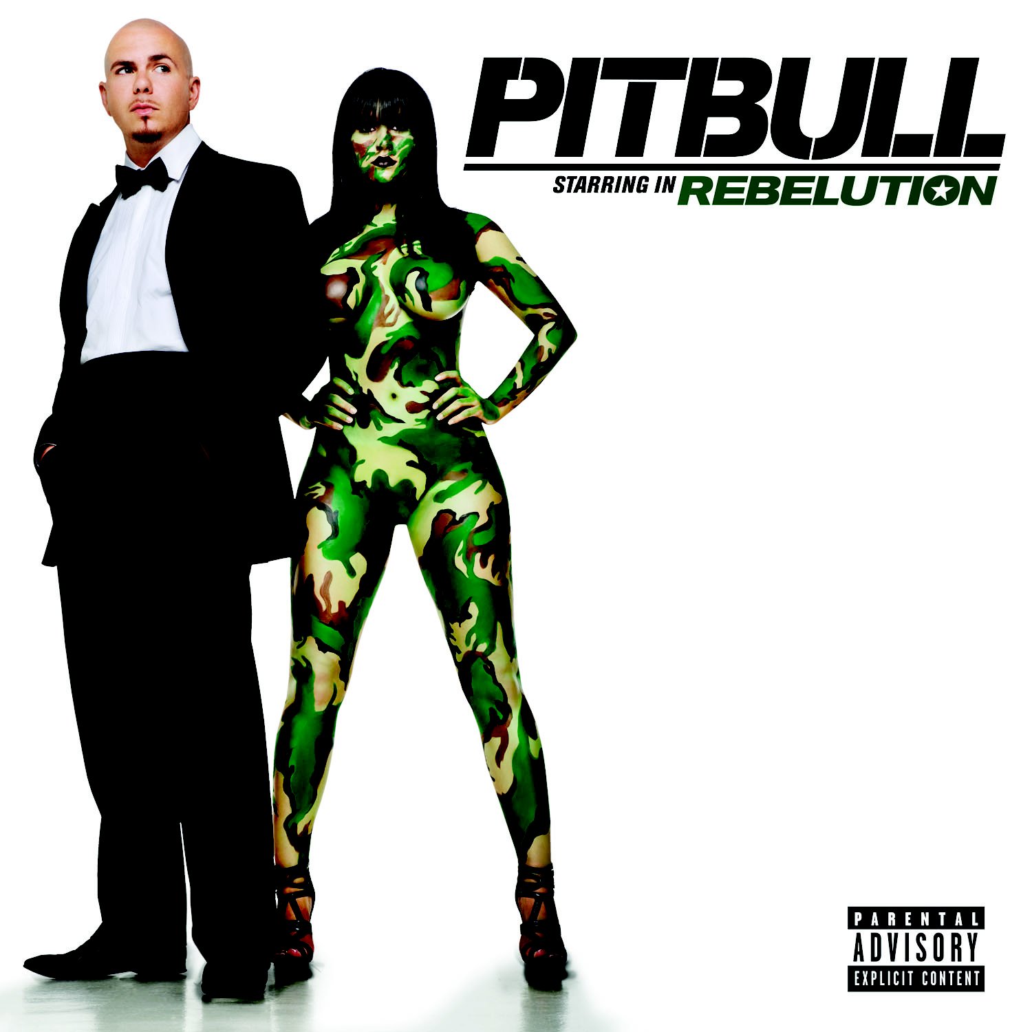 pitbull, Hip, Hop, Rap, Rapper, House, Pop Wallpaper