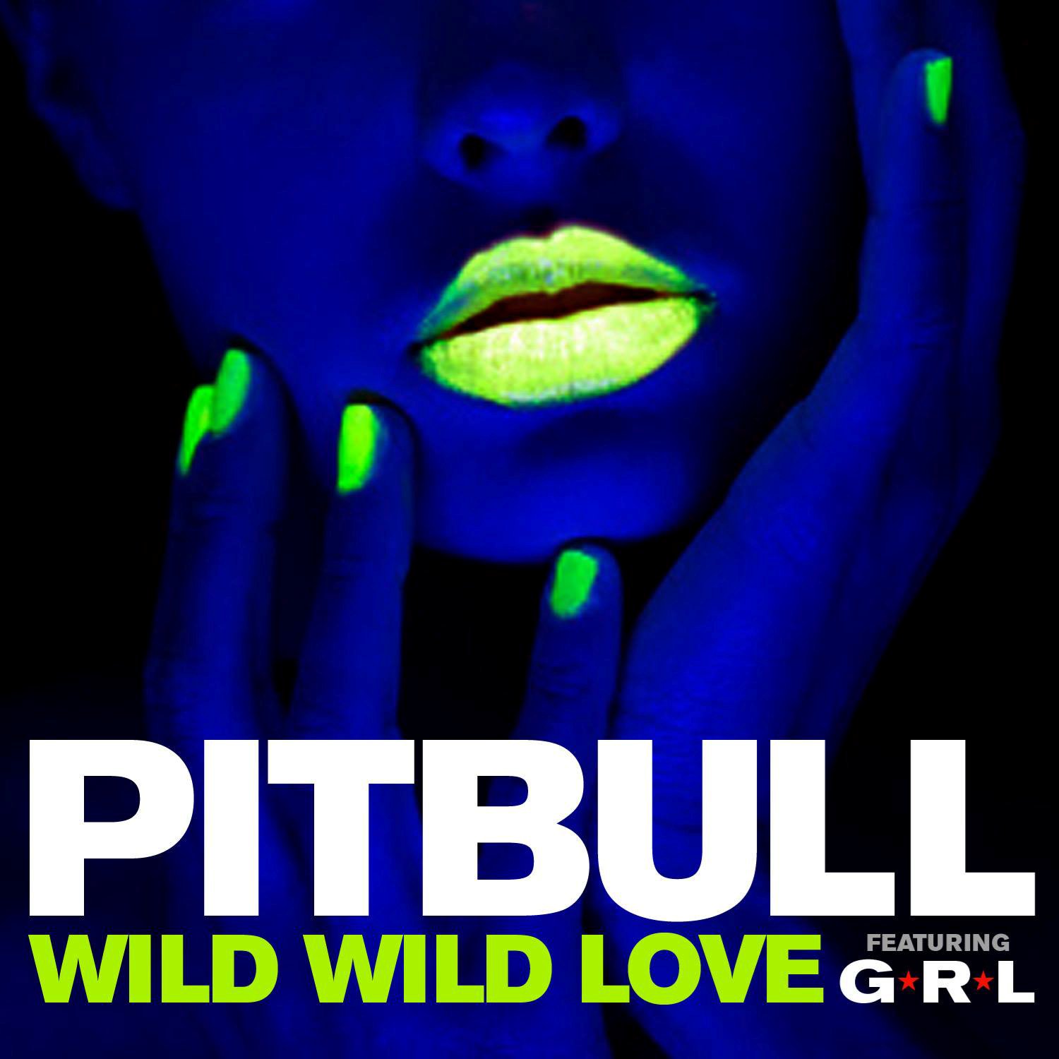 pitbull, Hip, Hop, Rap, Rapper, House, Pop Wallpaper