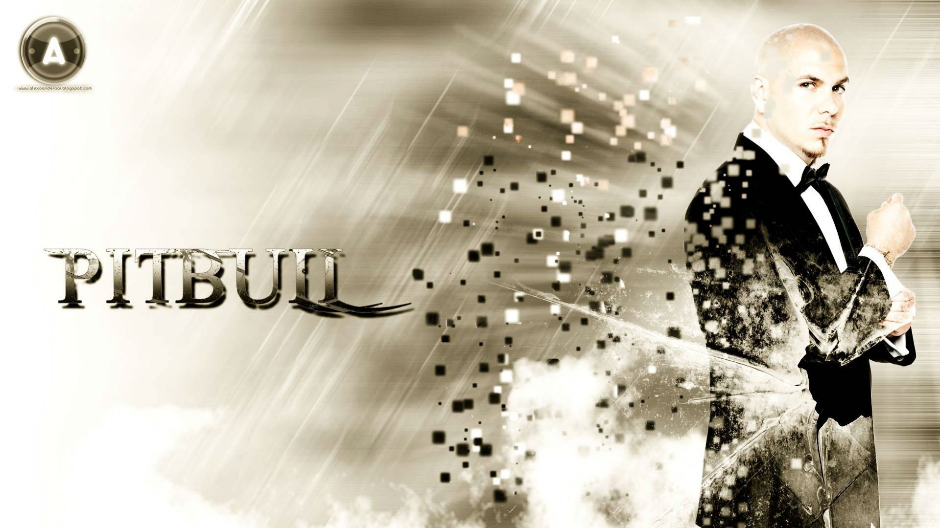 pitbull, Hip, Hop, Rap, Rapper, House, Pop Wallpaper