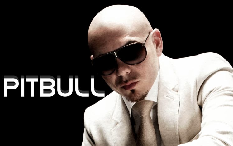 pitbull, Hip, Hop, Rap, Rapper, House, Pop HD Wallpaper Desktop Background
