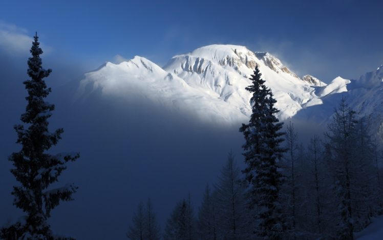 mountains, Landscapes, Nature, Trees, Forest, Fog HD Wallpaper Desktop Background