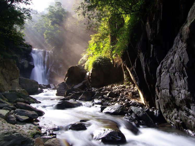 nature, Trees, Waterfalls, Rivers HD Wallpaper Desktop Background