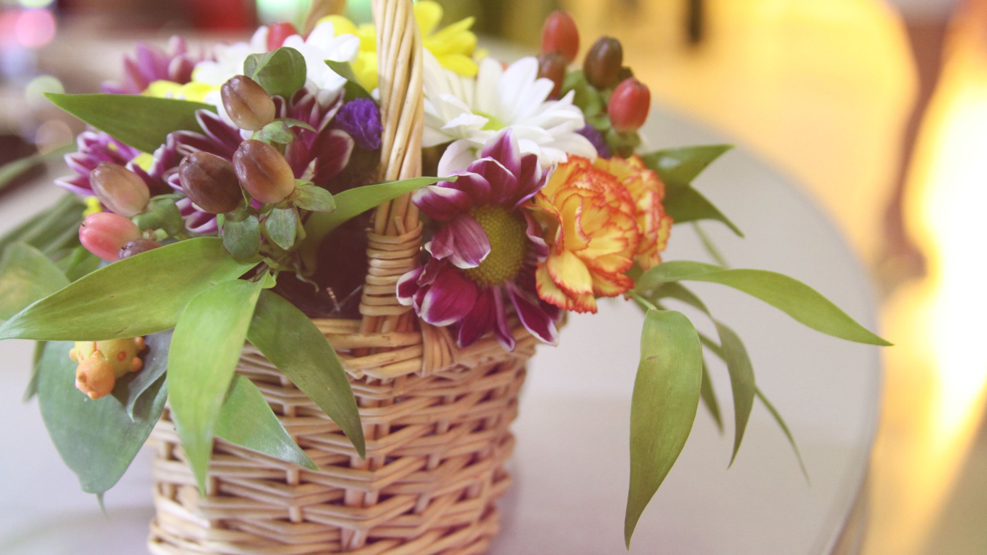 flower, Nature, Plant, Beautiful, Petals, Colorful, Flowers Wallpaper