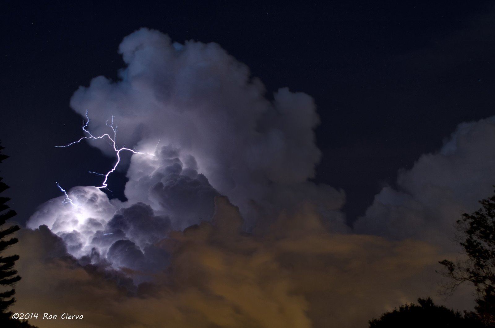 lightning, Night, Light, Nature, Storm, Cities, Sky, Landscapes, Electricity, Skyscapes Wallpaper