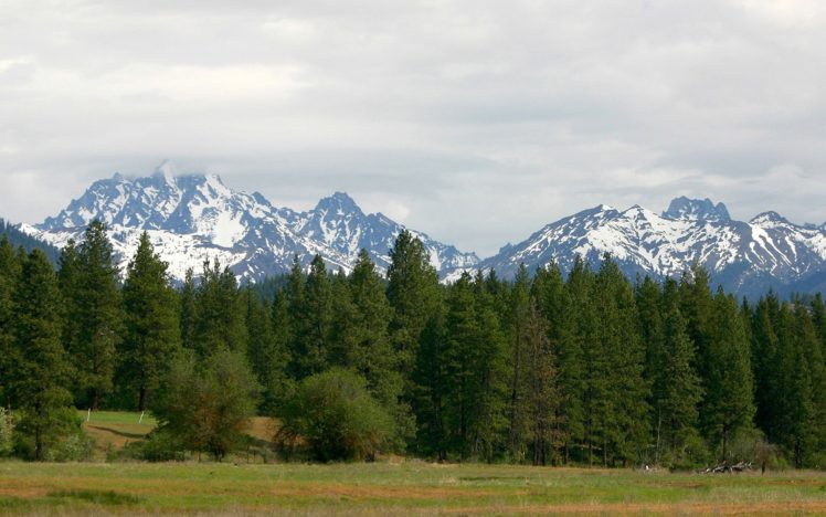 mountains, Landscapes, Nature, Forest HD Wallpaper Desktop Background