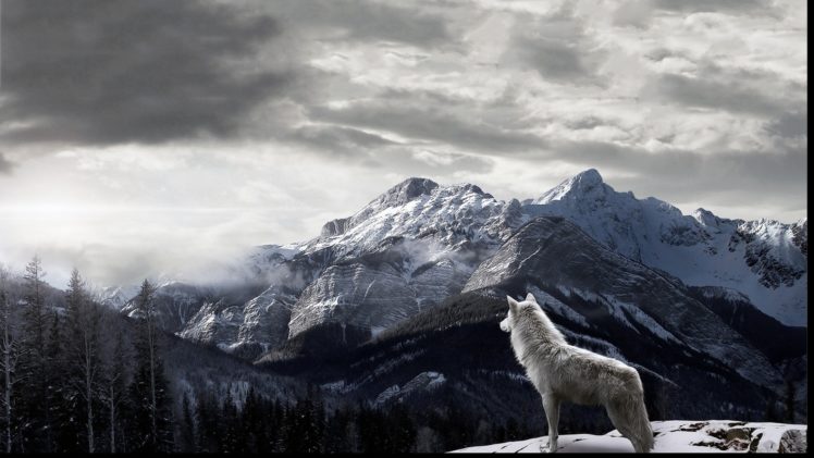 mountain, Snow, Sky, Landscape, Clouds, Animal HD Wallpaper Desktop Background