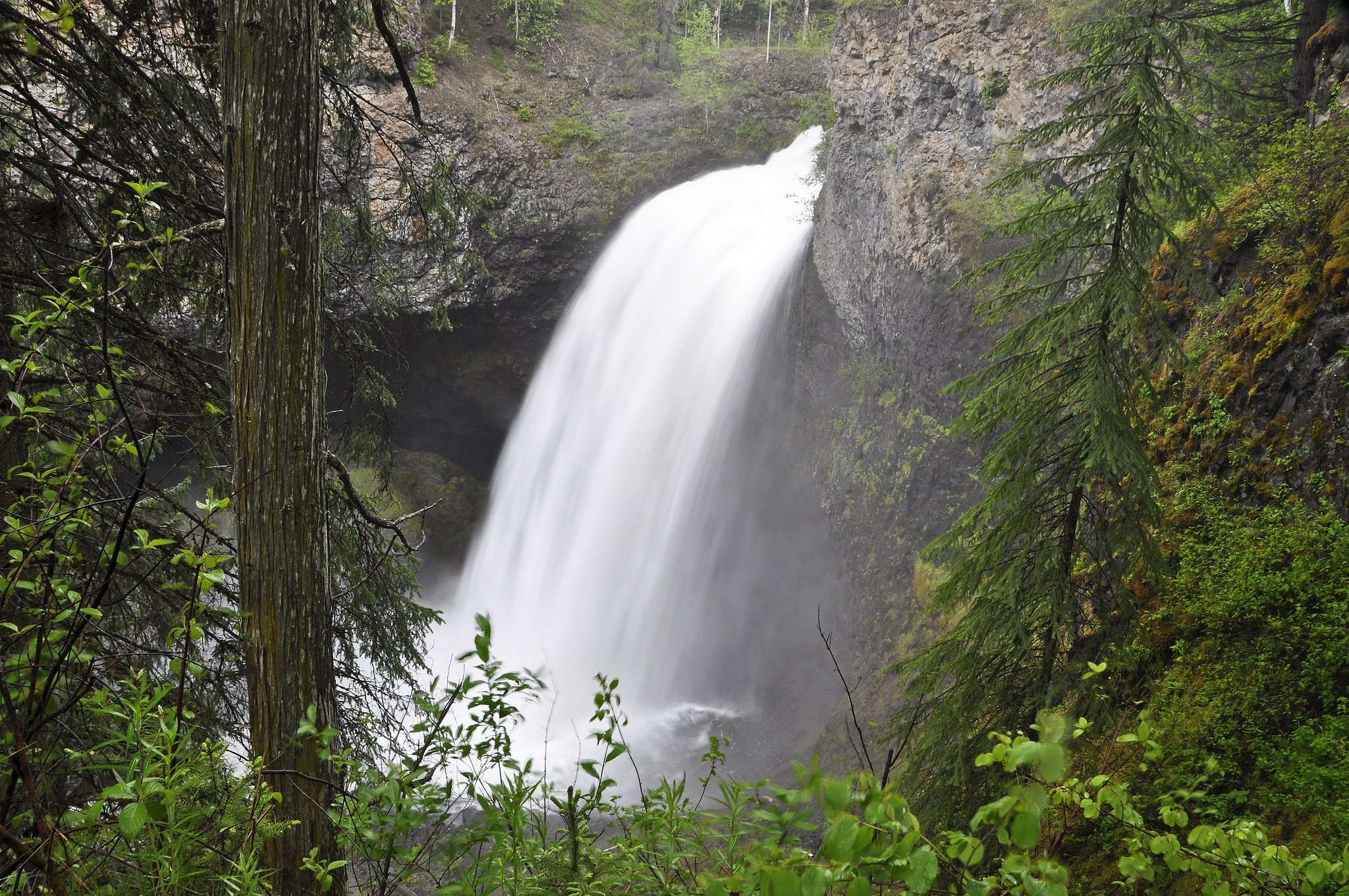 forests, Landscapes, Nature, Rivers, Trees, Waterfalls, Canada Wallpaper