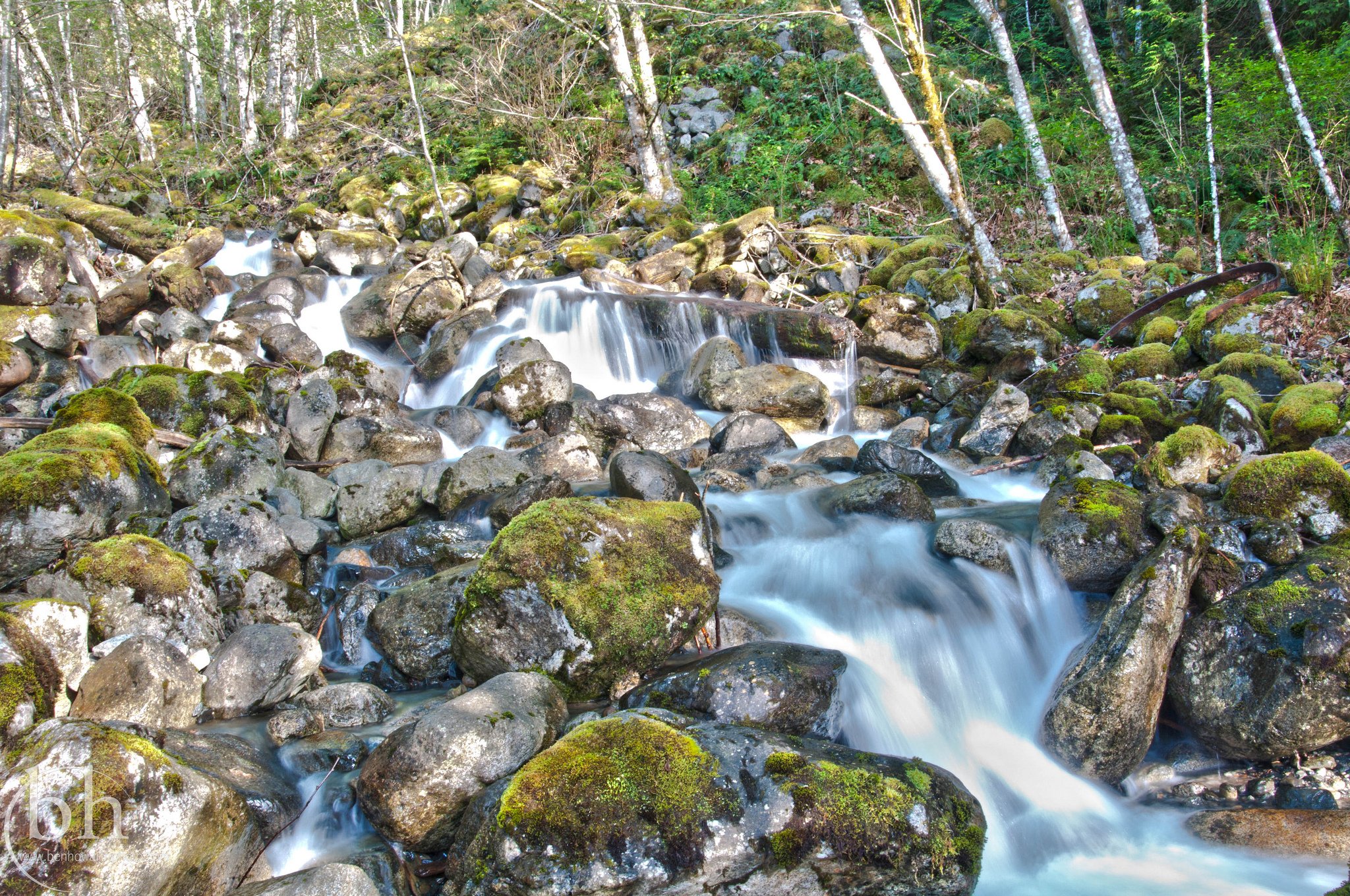 forests, Landscapes, Nature, Rivers, Trees, Waterfalls, Canada Wallpaper