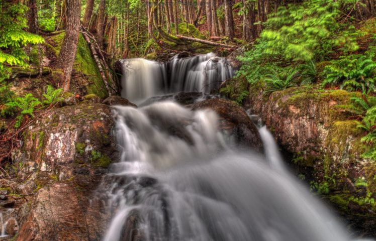 forests, Landscapes, Nature, Rivers, Trees, Waterfalls, Canada HD Wallpaper Desktop Background