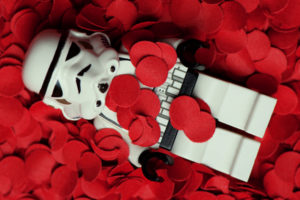 star, Wars, Flowers, Stormtroopers, American, Beauty, Legos, Rose, Petals